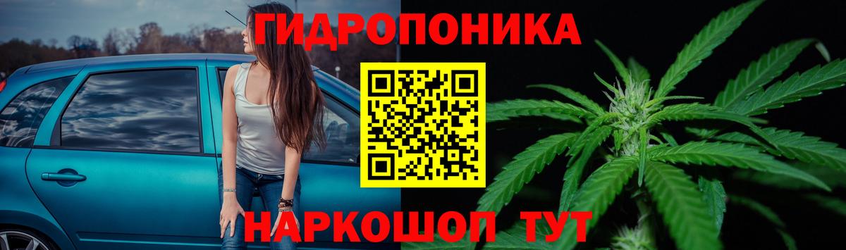 Марихуана конопля  Бошки Шишки OG Kush  Шишки марихуана MAZAR  Семилуки  Вход с VPN  МАРИХУАНА планчик 